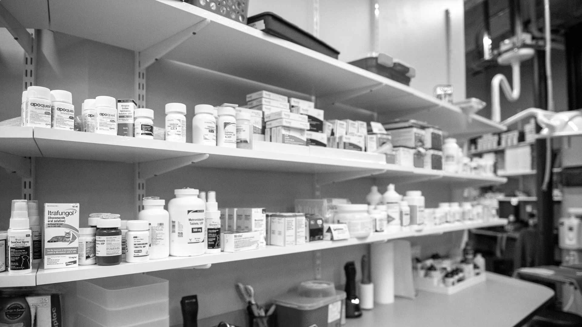 Pet Online Pharmacy In Gardner, MA Tender Heart Vet Care